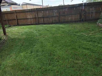 Lawn Care service in Normal, 61761