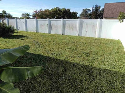 Lawn Care service in Oldsmar, 34677