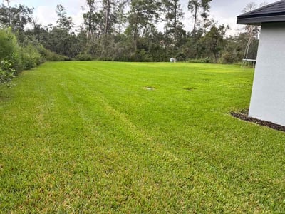 Lawn Care service in Tarpon Springs, 34689
