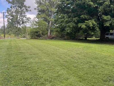 Lawn Care service in Mason, 48854