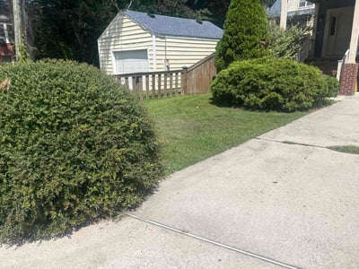 Lawn Care service in Christiansburg, 24073