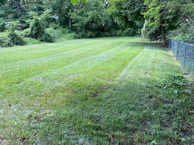 Lawn Care service in Mason, 48854