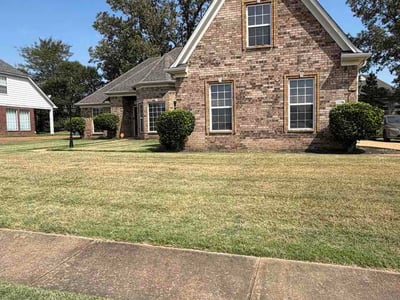 Lawn Care service in Southaven, 38671