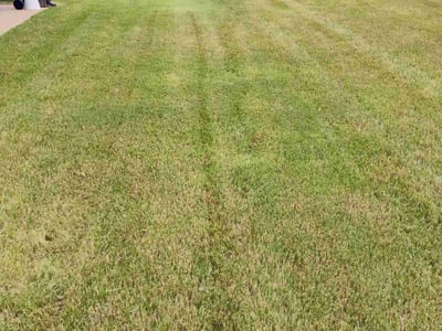 Lawn Care service in Southaven, 38671