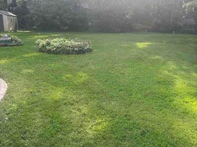 Lawn Care service in Sun Prairie, 53590