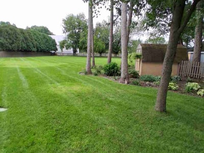 Lawn Care service in Goshen, 46526
