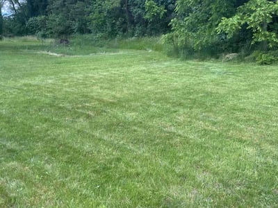 Lawn Care service in Sun Prairie, 53590