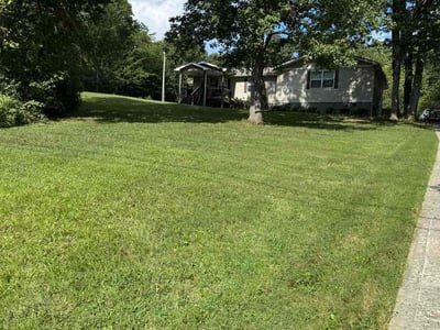 Lawn Care service in Kingston, 37763