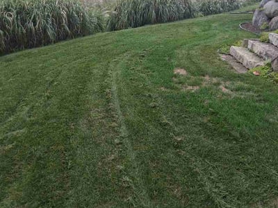 Lawn Care service in Middleton, 53562