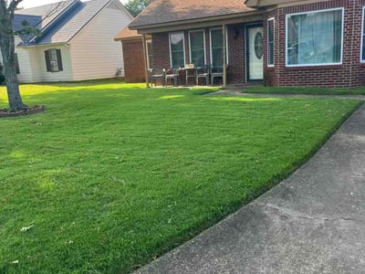 Lawn Care service in Senatobia, 38668