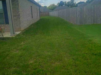 Lawn Care service in Senatobia, 38668