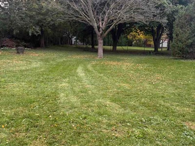 Lawn Care service in Middleton, 53562