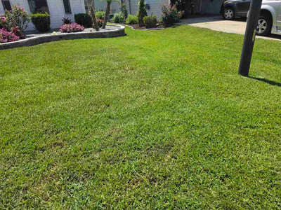 Lawn Care service in Homosassa, 34448