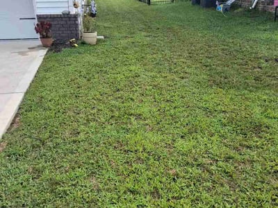 Lawn Care service in Oak Ridge, 37830