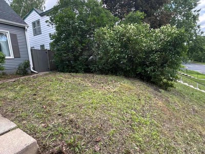 Lawn Care service in Roseville, 55113