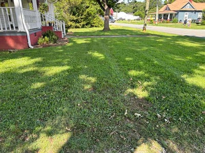 Lawn Care service in Burlington, 27215