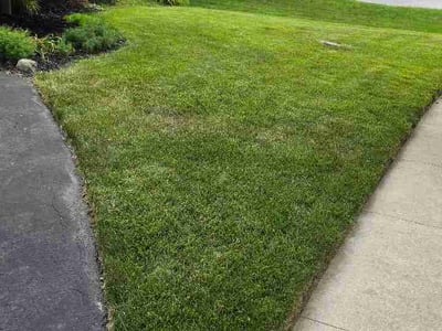 Lawn Care service in Powell, 43065