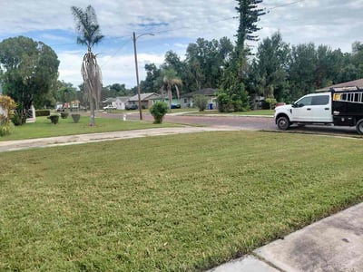 Lawn Care service in Palm Harbor, 34683