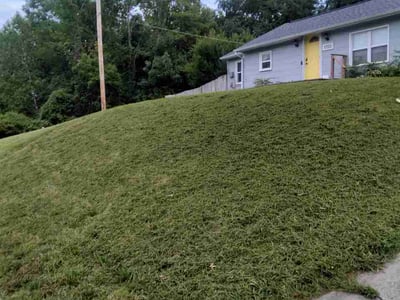 Lawn Care service in Excelsior Springs, 64024