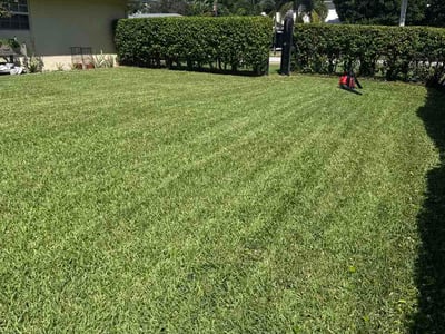 Lawn Care service in Royal Palm Beach, 33411