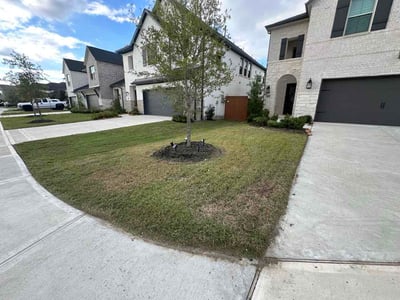 Lawn Care service in Laredo, 78040