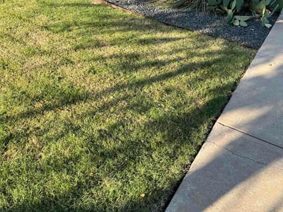 Lawn Care service in Abilene, 79602