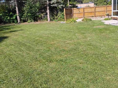 Lawn Care service in Waunakee, 53597
