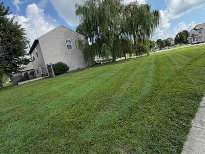Lawn Care service in Clarksville, 47129