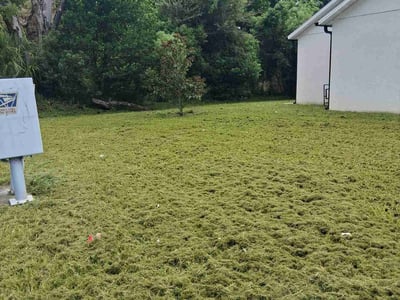Lawn Care service in Eustis, 32726