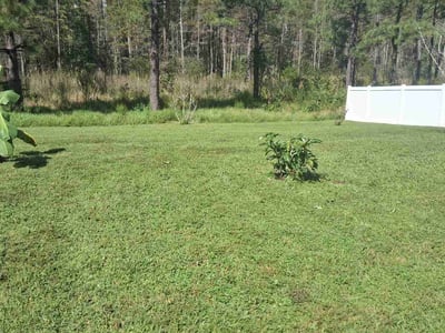 Lawn Care service in Winter Springs, 32708