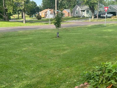 Lawn Care service in Bloomington, 61701