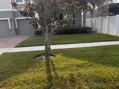Lawn Care service in Riverview, 33578