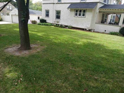 Lawn Care service in West Covina, 91790