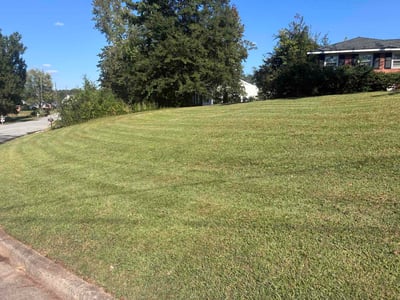 Lawn Care service in Leawood, 64804