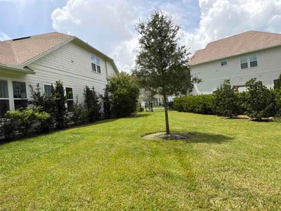 Lawn Care service in Saint Johns, 32259