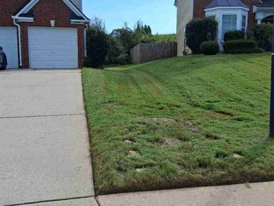 Lawn Care service in Leawood, 64804
