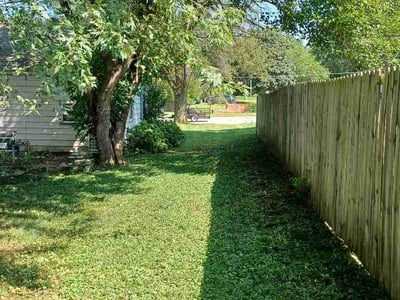 Lawn Care service in Belton, 64012