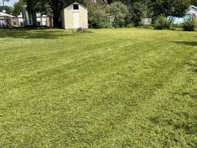 Lawn Care service in Coon Rapids, 55433