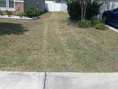 Lawn Care service in Utica, 13501