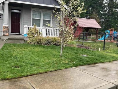 Lawn Care service in Bonney Lake, 98391