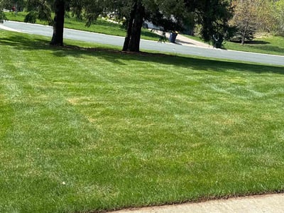 Lawn Care service in Eagan, 55123