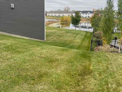 Lawn Care service in Brooklyn Center, 55429