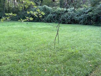 Lawn Care service in Leavenworth, 66048