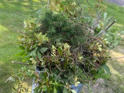 Lawn Care service in Leavenworth, 66048