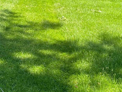 Lawn Care service in Burnsville, 55337