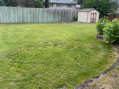 Lawn Care service in Richfield, 55423