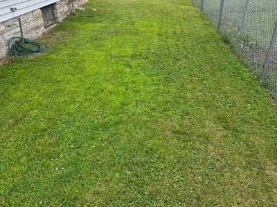 Lawn Care service in Bloomington, 55431