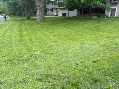 Lawn Care service in Burnsville, 55337