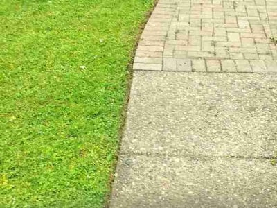 Lawn Care service in Sammamish, 98074