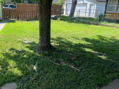 Lawn Care service in Burnsville, 55337